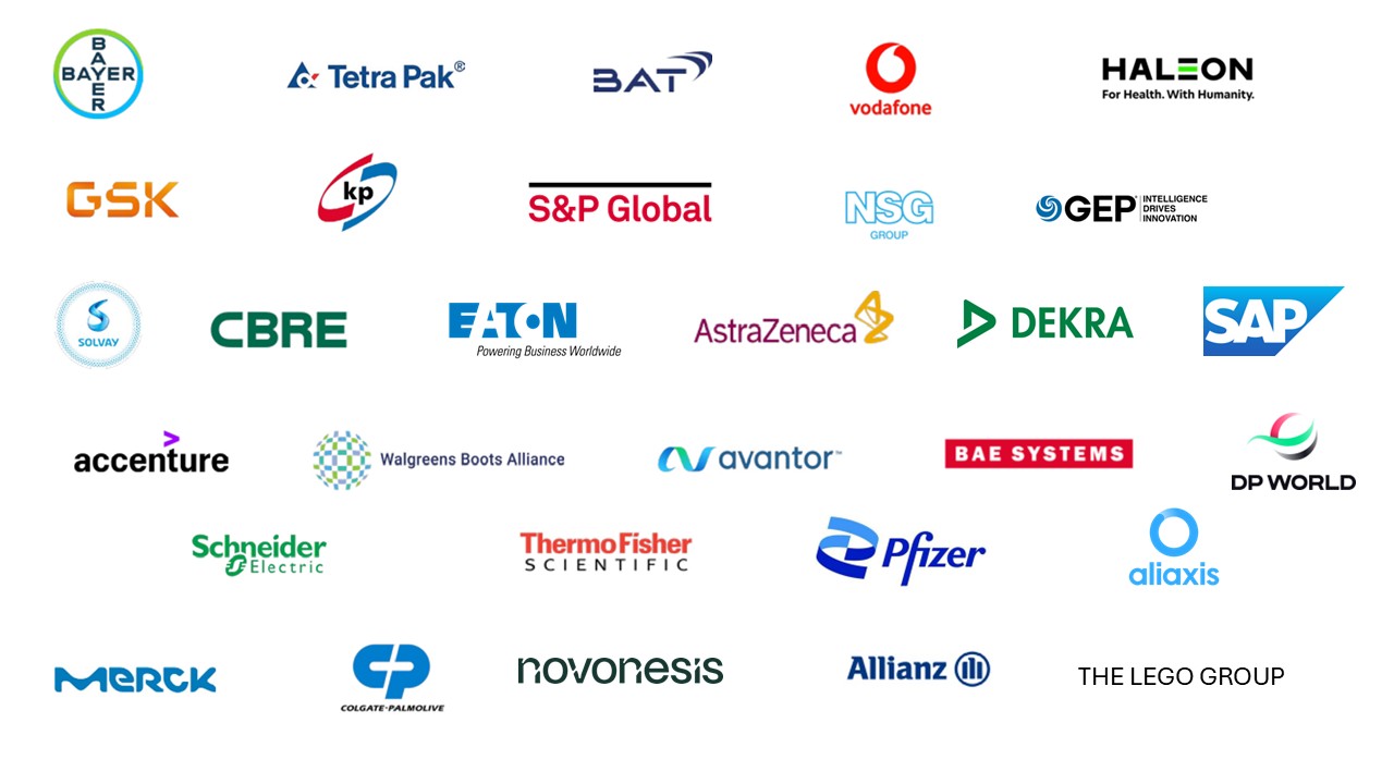 Logos of companies engaged in the SPP Champions Program